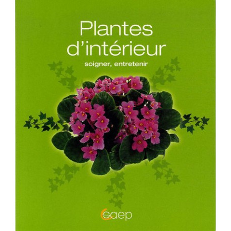 Plantes d'intérieur soigner entretenir Plantes d'intérieur soigner entretenir