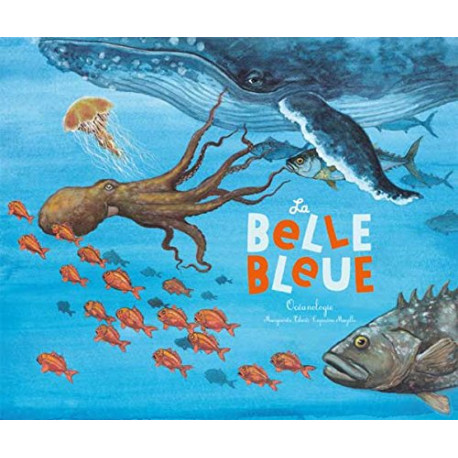 La belle bleue : Océanologie La belle bleue : Océanologie