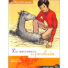 Clara et les Poneys tome 3 : La Naissance du poulain