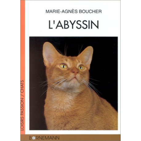 L'abyssin L'abyssin