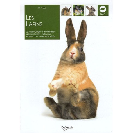 Les lapins Les lapins