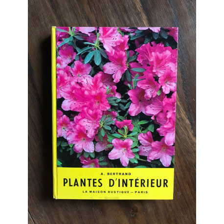 Plantes d'intérieur Plantes d'intérieur