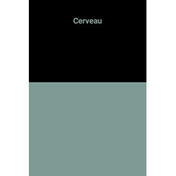 Cerveau