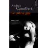 Le tailleur gris