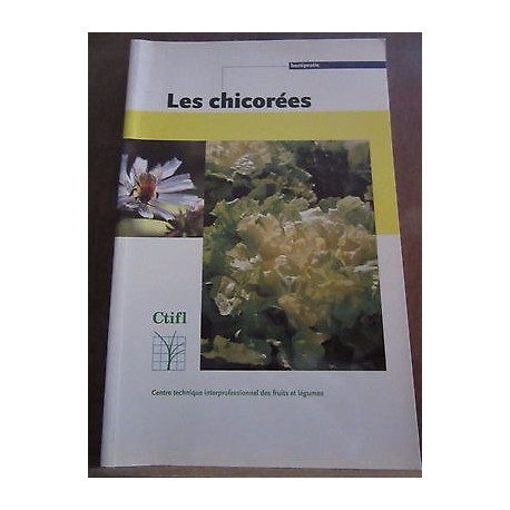 Les chicorées ctifl