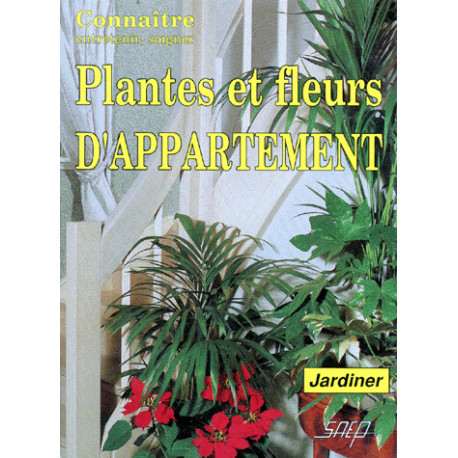 Plantes et fleurs d'appartement Plantes et fleurs d'appartement