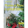 Plantes et fleurs d'appartement