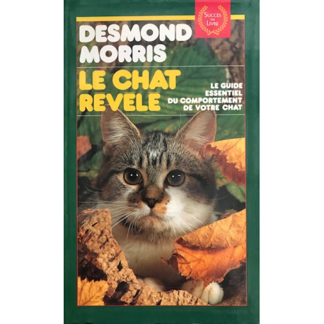 Le chat revele Le chat revele
