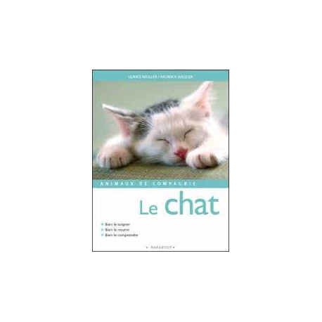 Le chat Le chat