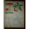 Album des enfants sages Editions René Touret des dessins sont faits