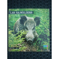 Les sangliers images de la nature hatier