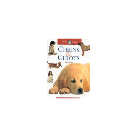Chiens et chiots Chiens et chiots