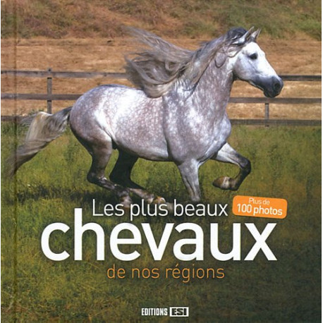 Les plus beaux chevaux de nos régions Les plus beaux chevaux de nos régions