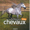 Les plus beaux chevaux de nos régions