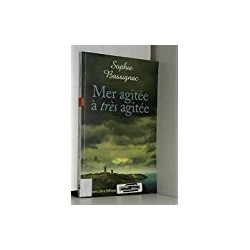 Mer agitée à très agitée
