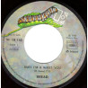 Baby I'm A Want You / The Guitar Man