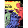 Les fusils dans l'île
