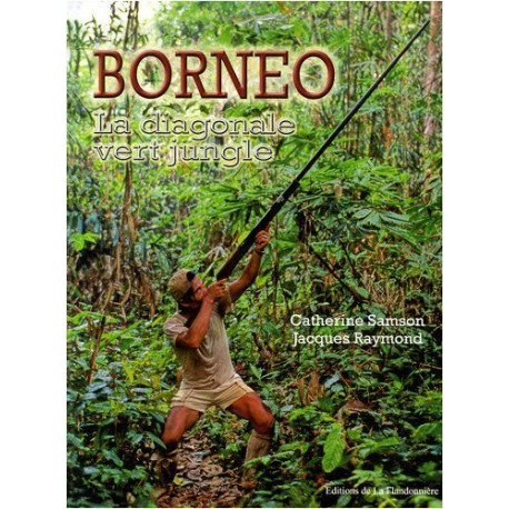 Bornéo : La diagonale vert jungle Bornéo : La diagonale vert jungle