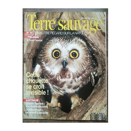 Terre Sauvage n 58 Janvier 1992 Cette Chouette se Croit invisible