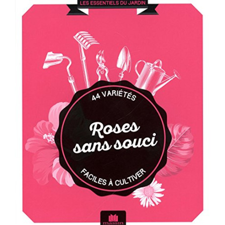 Roses sans souci Roses sans souci