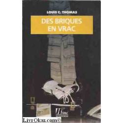 Des briques en vrac