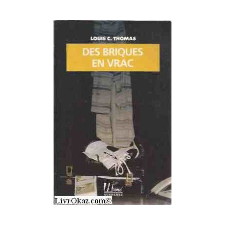 Des briques en vrac Des briques en vrac