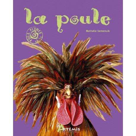 Poule Poule