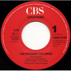 The Promise You Made