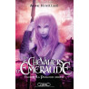 Les Chevaliers d'Emeraude Tome 4