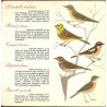 Oiseaux Des Prés Champs Et Bois