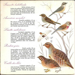 Oiseaux Des Prés Champs Et Bois