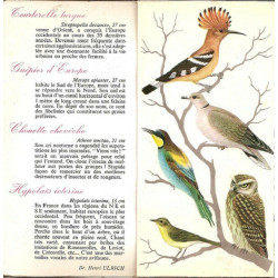 Oiseaux Des Prés Champs Et Bois