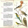 Oiseaux Des Prés Champs Et Bois