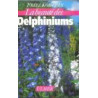 Beaute des delphiniums