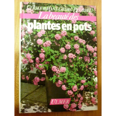 Plantes en pots Plantes en pots