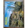 Arizona Highways Calendar