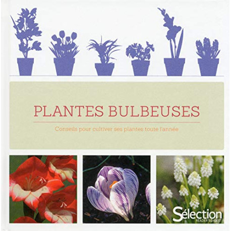 Les plantes bulbeuses Les plantes bulbeuses