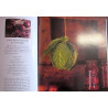 FRUITS CONFITS CIRE dabeille