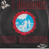 Terra Straniera