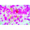 La biodiversité