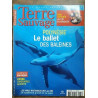 Terre Sauvage n185 Juillet 2003 polynésie Le ballet des baleines