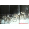 Mushing In Black Forest / Keep On Mushing