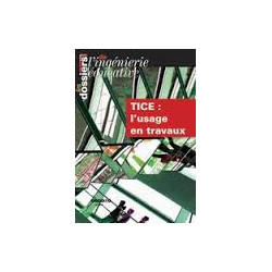 Les TICE : L'usage en travaux