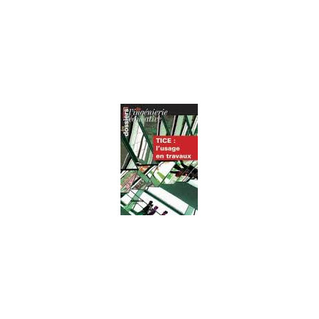 Les TICE : L'usage en travaux Les TICE : L'usage en travaux