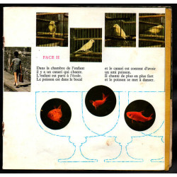 Histoire D'Un Poisson Rouge