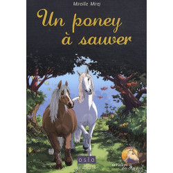 Le Vallon des chevaux - Tome 2: Un poney à sauver
