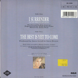 I Surrender (To The Spirit Of The Night)
