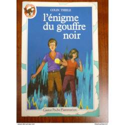 L'énigme du gouffre noir - castor Poche
