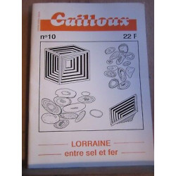 Cailloux N10 Lorraine entre sel et fer revue de géologie