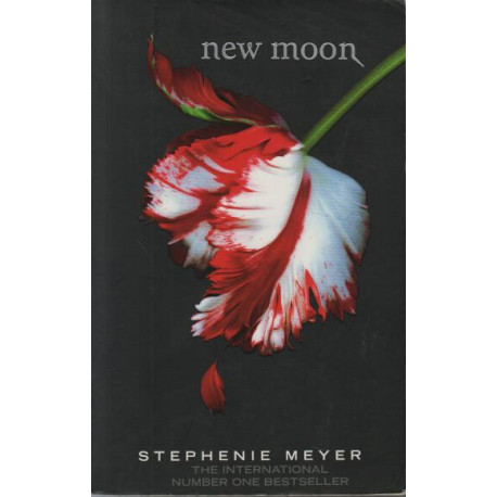 New moon New moon